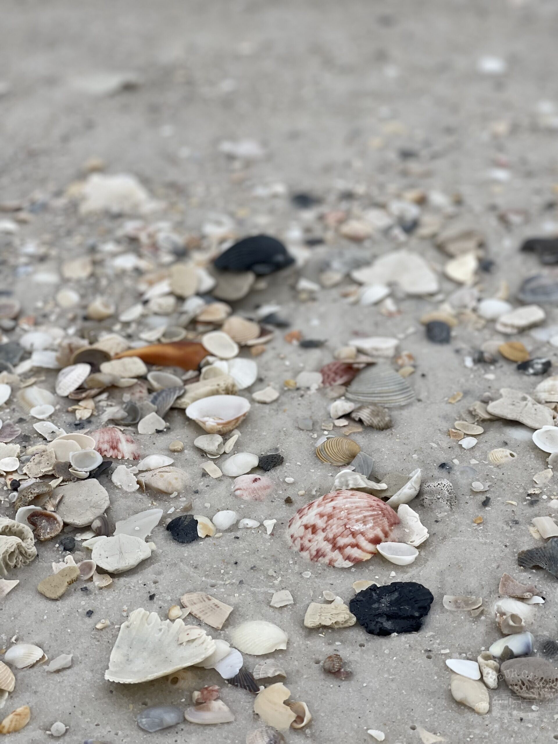 A Quick Visit To Camp Helen State Park, Florida - Amateur Camper ...